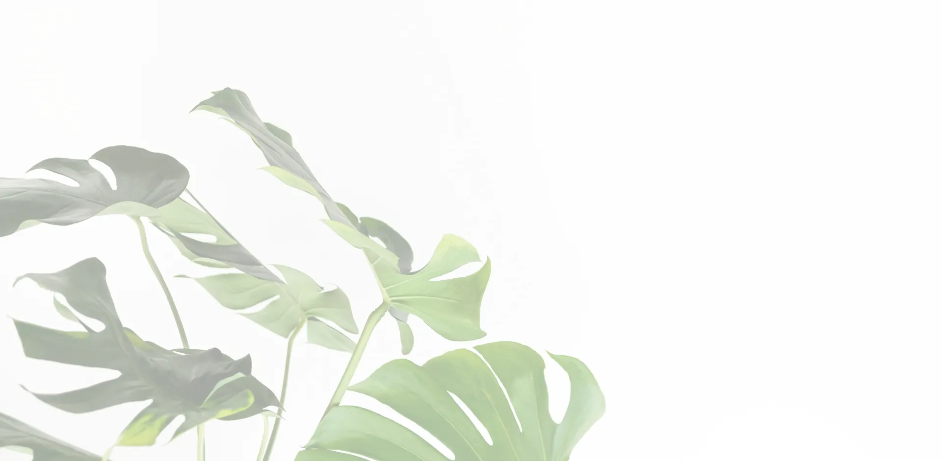 parallax background