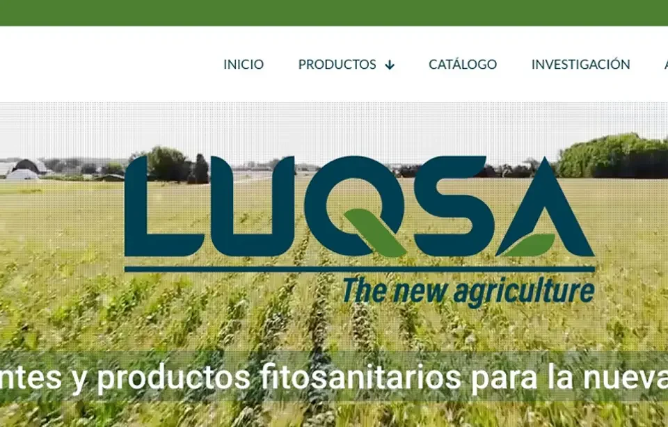 El impacto del rebranding en empresas y como LUQSA ha mejorado su imagen de marca